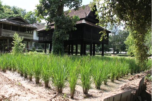 Long-Khao Pasang