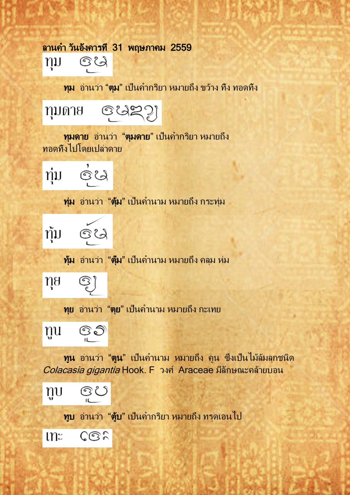 ทุม เทะ - 31 พฤษภาคม 2559