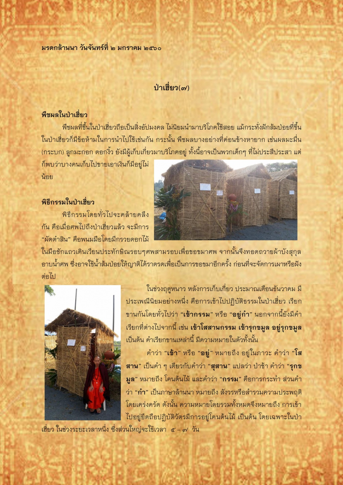 ปาเฮียว(7) - 2 มกราคม 2560