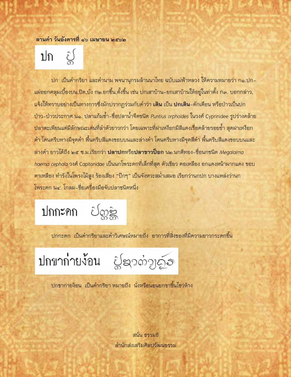 ปก ปกขาก่ายง้อน - 16 เมษายน 2562