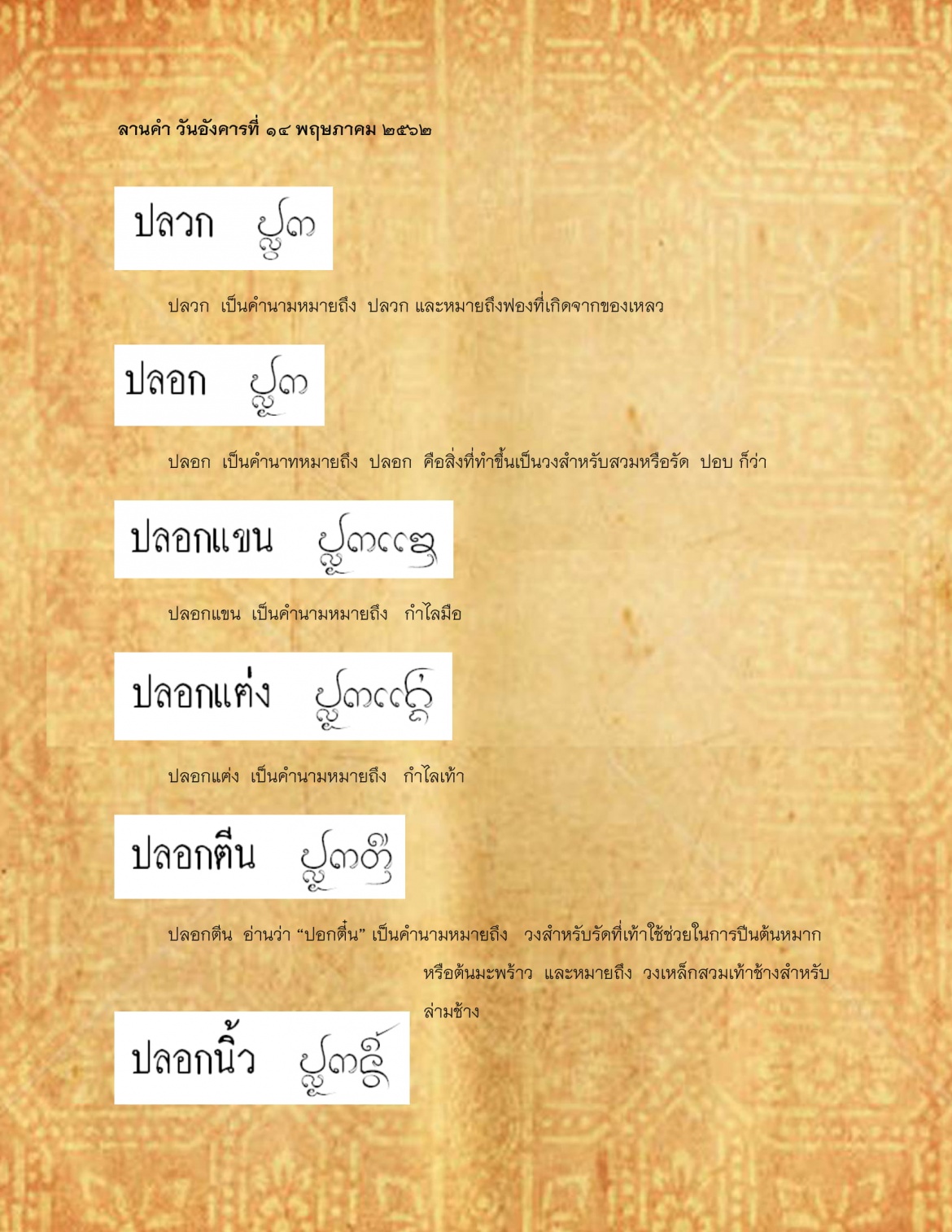 ปลวก ปลอกนิ้ว - 14 พฤษภาคม 2562