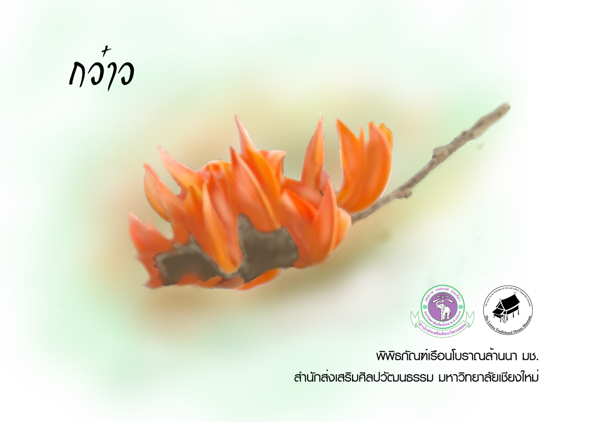 กว๋าว