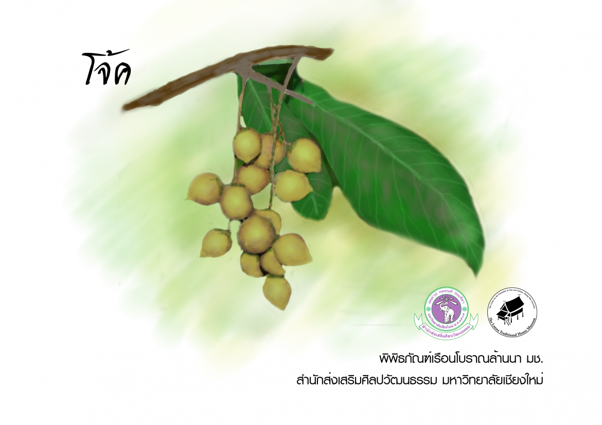 โจ้ค