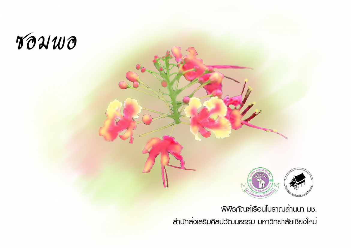 ซอมพอ