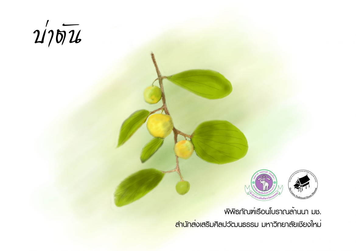 บ่าตัน
