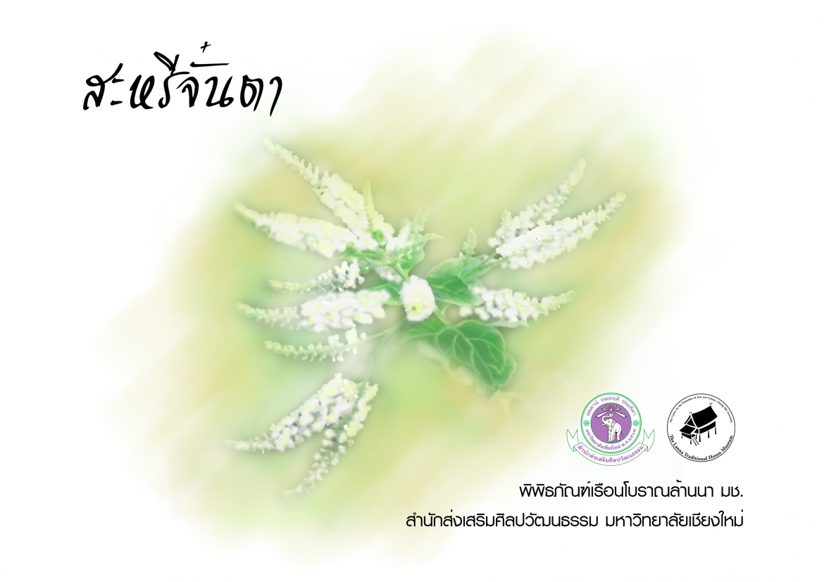 สะหรีจั๋นตา