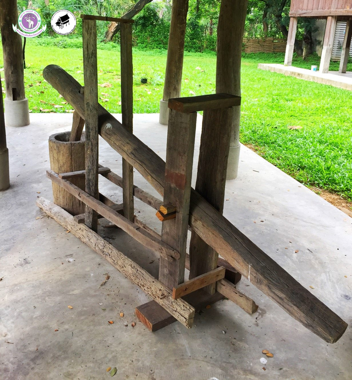 ครกมอง