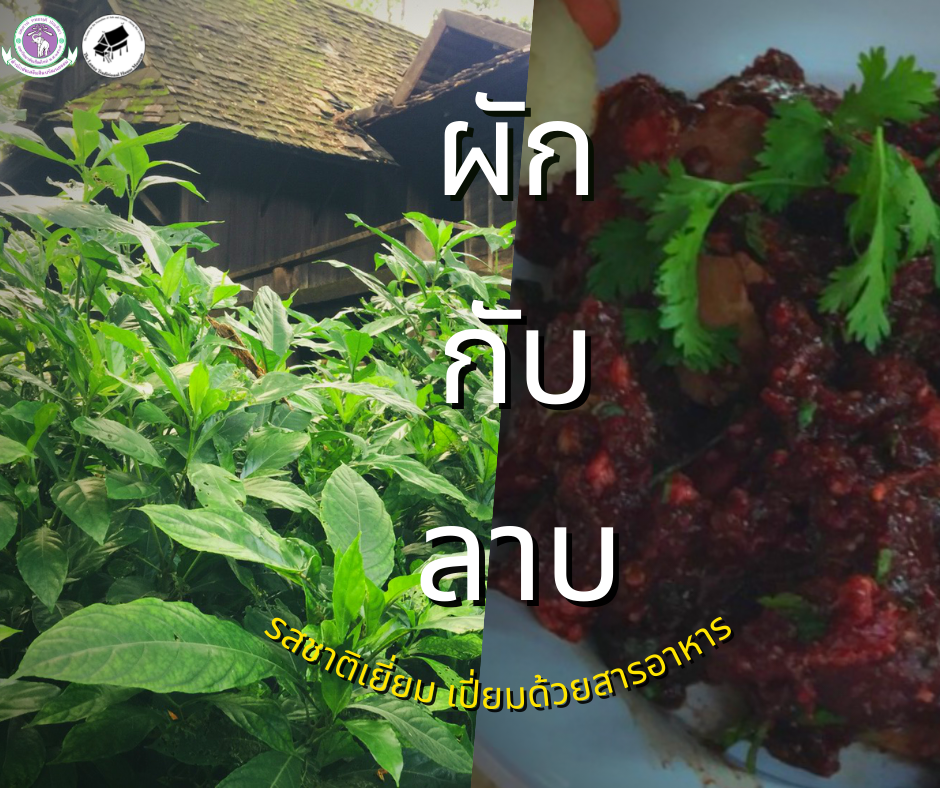 ผักกับลาบ 