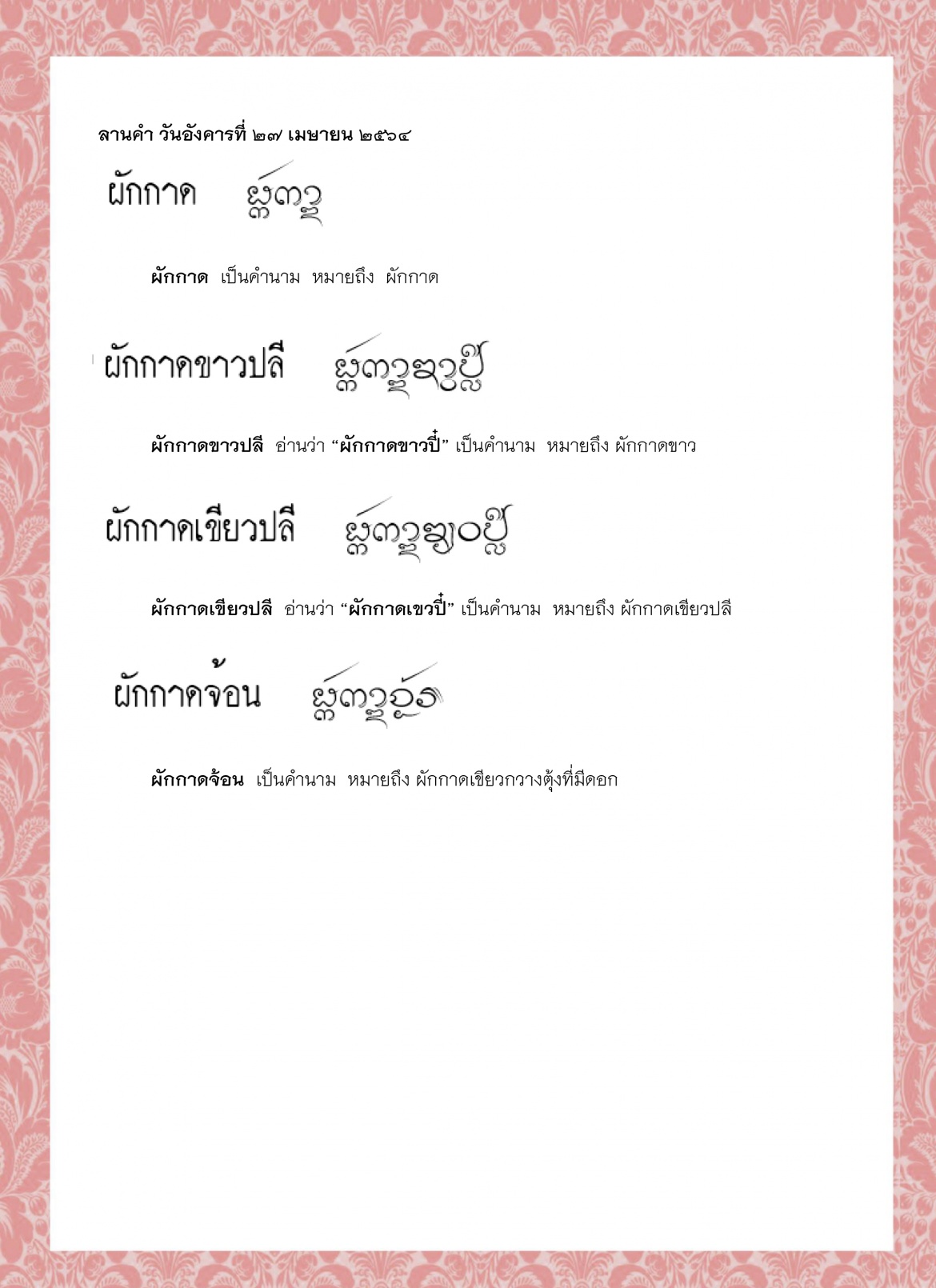 ผักกาด ผักกาดขาวปลี ผักกาดเขียวปลี ผักกาดจ้อน ผักกาดชอ ผักกาดดอง - 27 เมษายน 2564