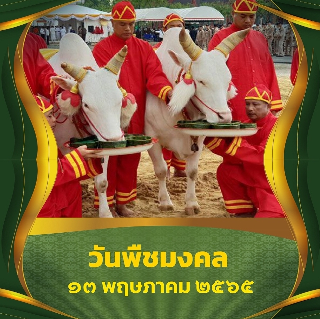 13 พฤษภาคม วันพืชมงคล