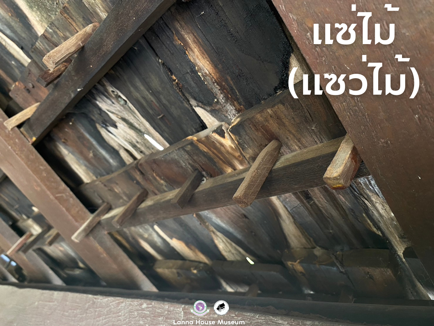 แซ่ไม้ (เเซว่ไม้)