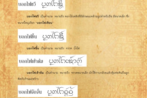 บอกไฟ บอกไฟดอก - 6 มีนาคม 2561