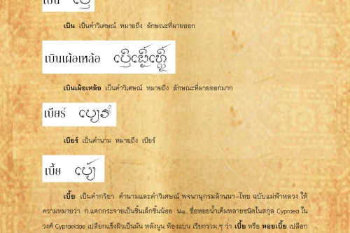 เบิ่งเหง้อ เบี้ย - 25 กันยายน 2561