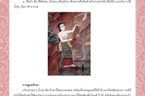 พิธีกรรมและความเชื่อการปลูกเรือนล้านนา (96) - 31 สิงหาคม 2563