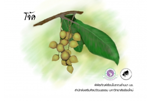 โจ้ค