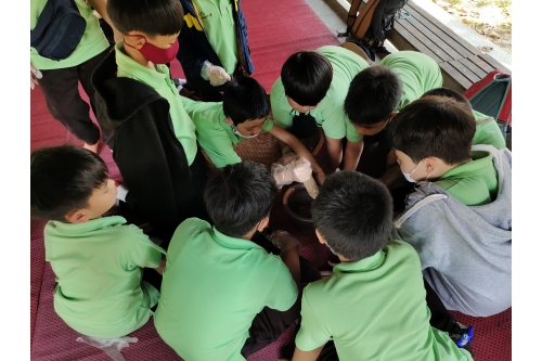 คณะครูและนักเรียนจากโรงเรียนต้นกล้า เข้าทัศนศึกษาและทำกิจกรรมศิลปวัฒนธรรม ณ พิพิธภัณฑ์เรือนโบราณล้านนา มช.  