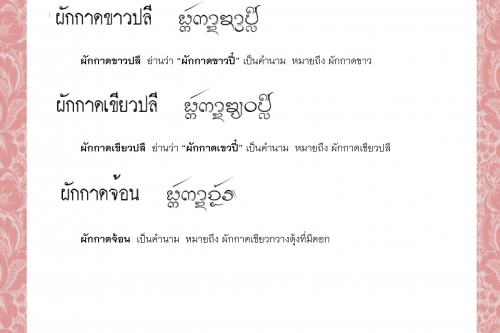 ผักกาด ผักกาดขาวปลี ผักกาดเขียวปลี ผักกาดจ้อน ผักกาดชอ ผักกาดดอง - 27 เมษายน 2564